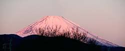 fuji