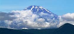 fuji