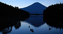 fuji