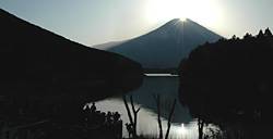 fuji