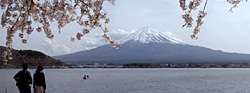 fuji