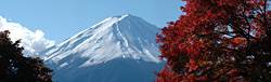 fuji