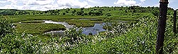 pan01603s